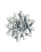 Blue White King Protea - Chive Ceramics Studio - Ceramic Flowers - Chive Ceramics Studio