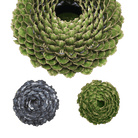 Utopia Ceramic Floral Vase - Chive US Wholesale