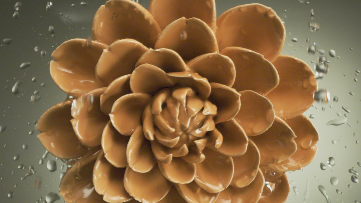 Water falls over a yellow ceramic chrysanthemum in macro — birth flower ceramics covering all twelve months.