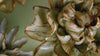 Chocolate mint echo lisianthus ceramic wall flower spinning on blue background revealing blue grey gerbera daisy in slow pan — top down macro — Japan Collection — Chive Studio